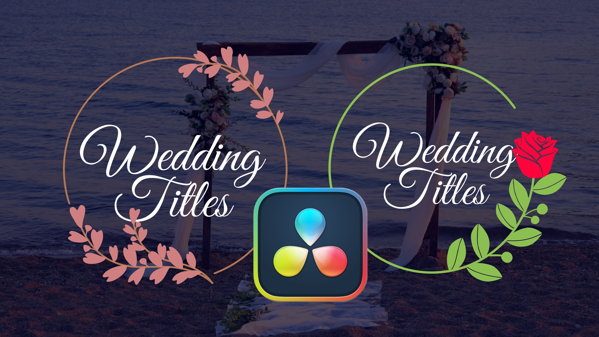 Free Floral Wedding Titles Davinci Resolve 17
